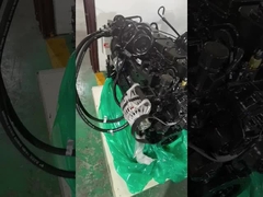 1998 캄민스 도지 12 24 밸브 5.9 캄민스 엔진 재건 키트